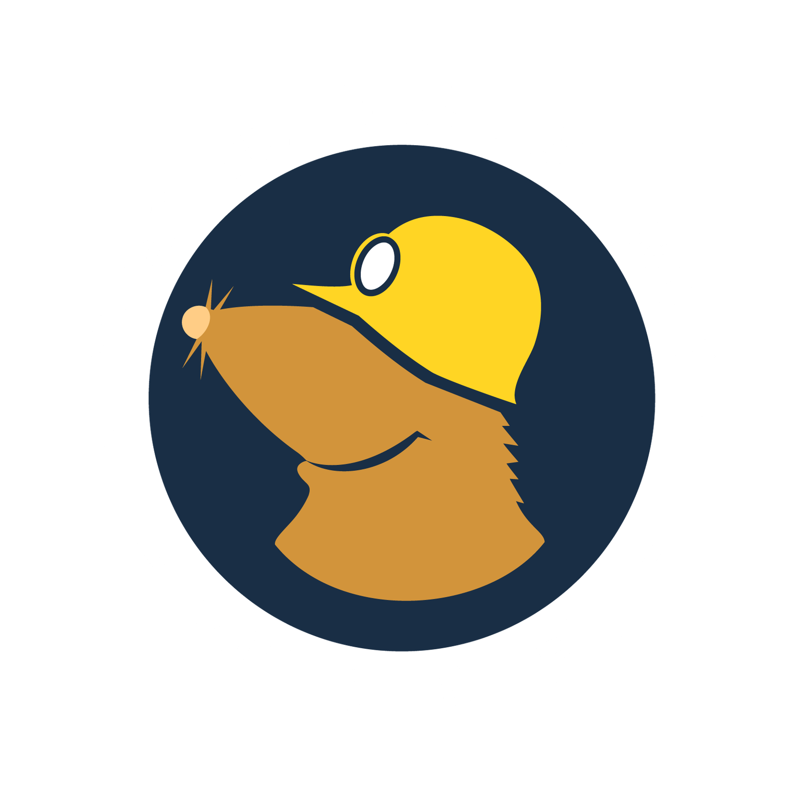 Mullvad Browser